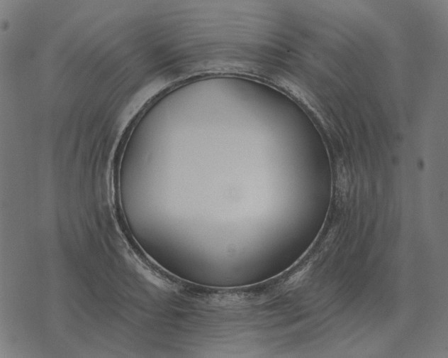 X0000070401082200606231756