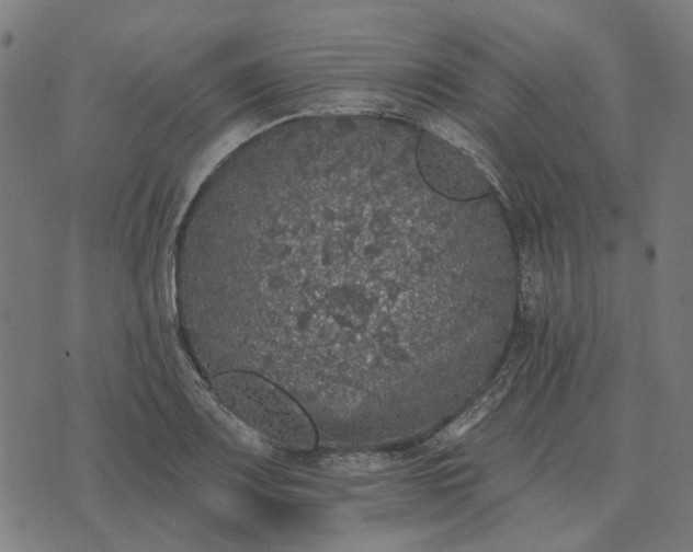 X0000070401083200606231756