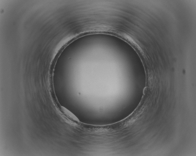 X0000070401085200606231756