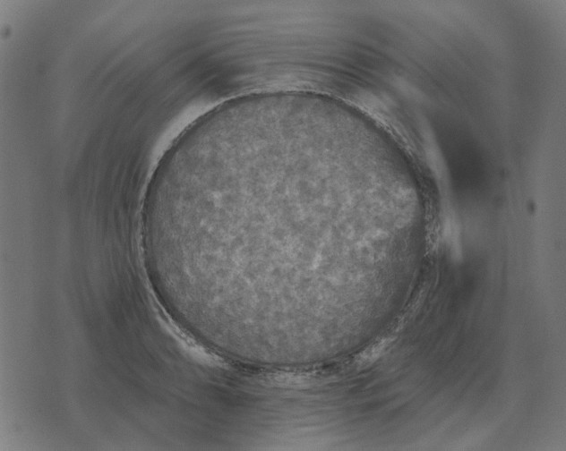 X0000070401086200606231756