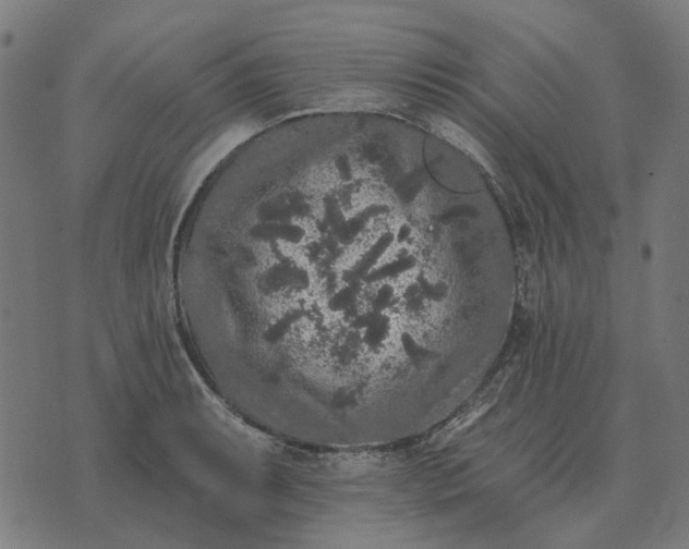 X0000070401087200606231756