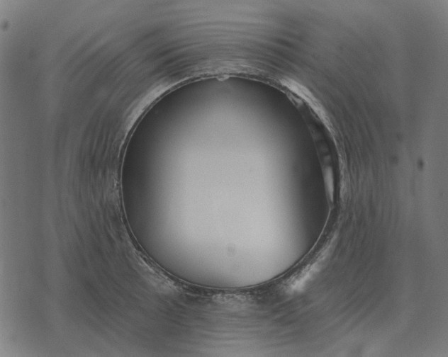 X0000070401089200606231756