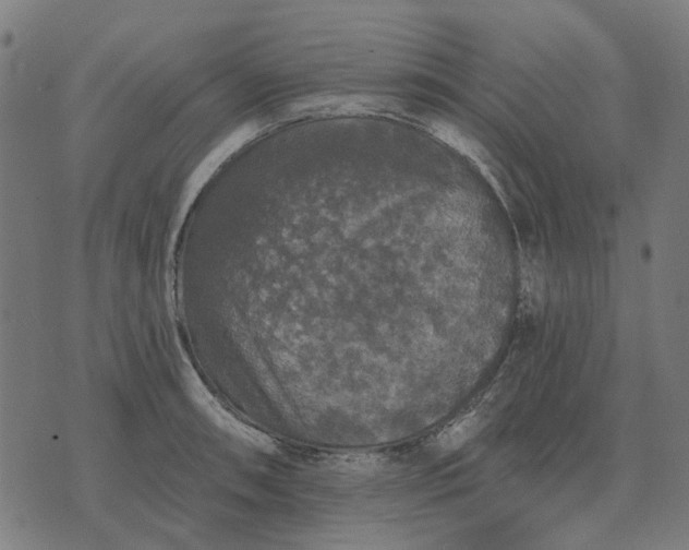 X0000070401090200606231756