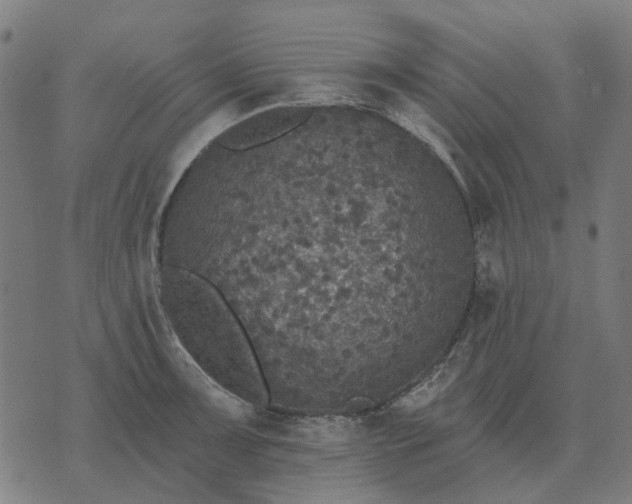 X0000070401091200606231756