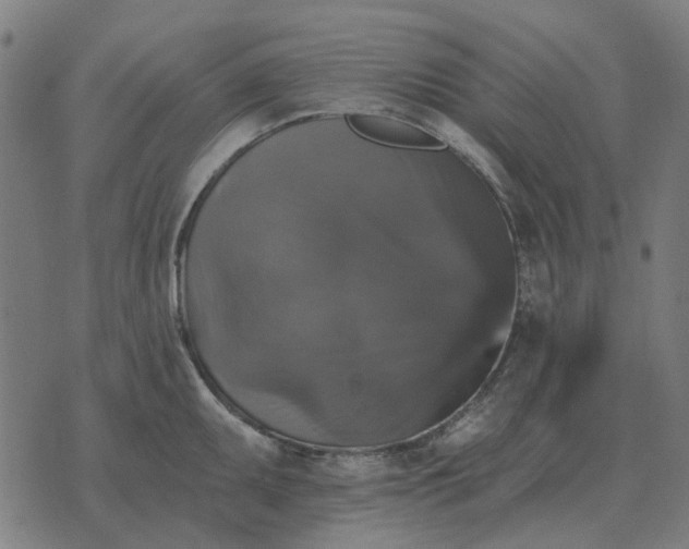 X0000070401095200606231756