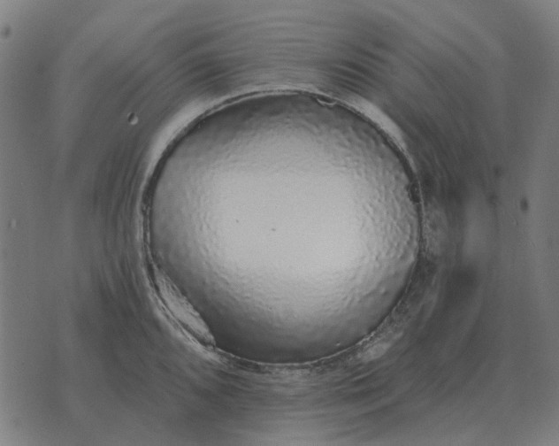 X0000070401096200606231756