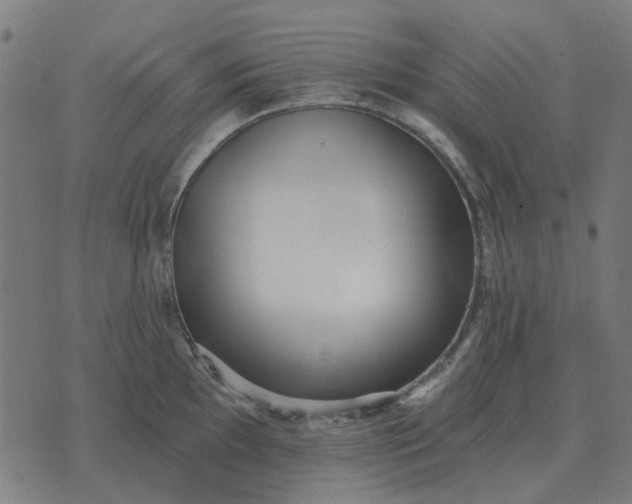 X0000070401097200606231756