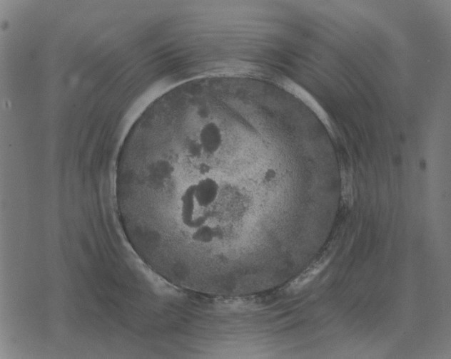 X0000070401099200606231756