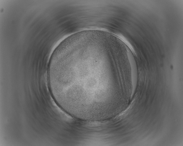 X0000070401100200606231756