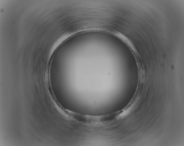 X0000070401101200606231756