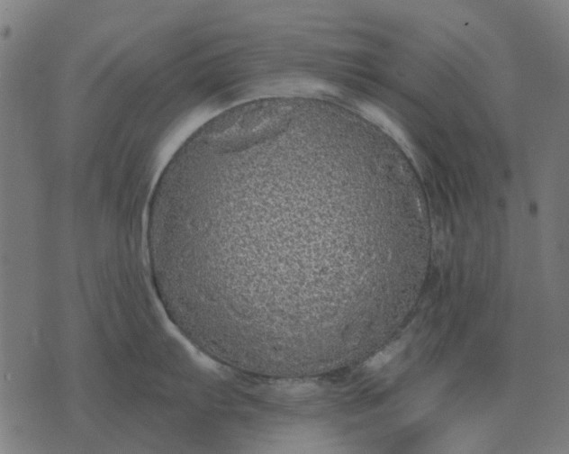 X0000070401103200606231756