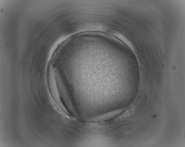 X0000070401104200606231756