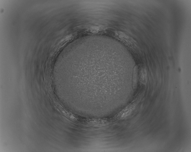 X0000070401105200606231755