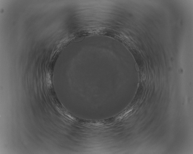 X0000070401106200606231755