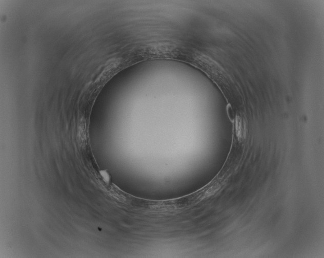 X0000070401107200606231755