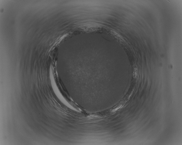 X0000070401108200606231755