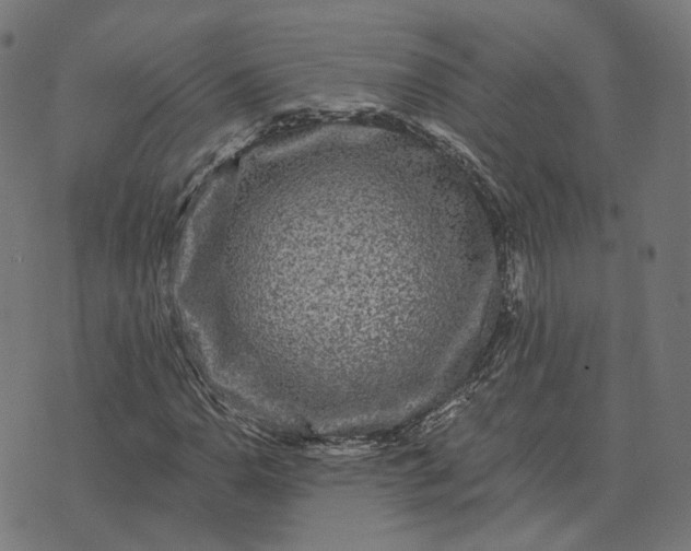 X0000070401110200606231755