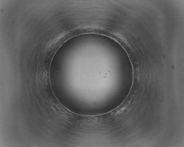 X0000070401111200606231755