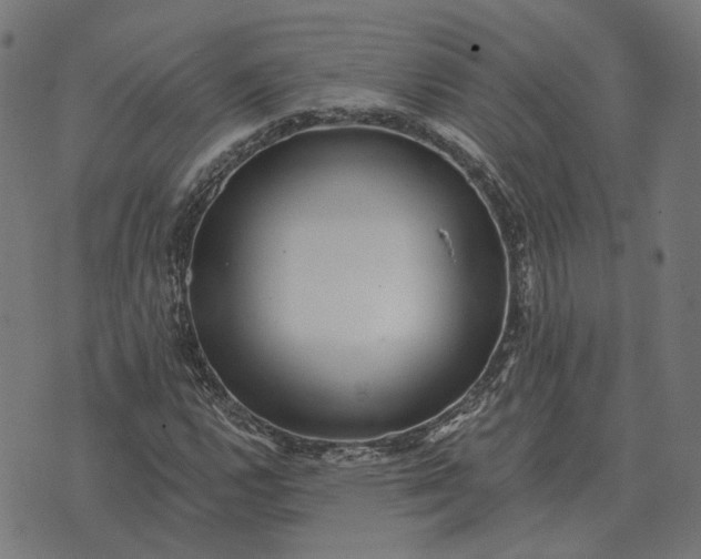 X0000070401112200606231755