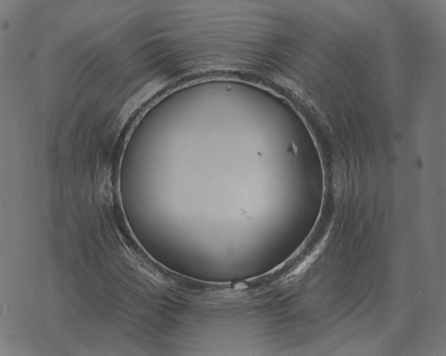 X0000070401113200606231755