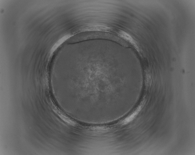 X0000070401114200606231755