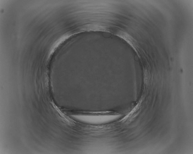 X0000070401115200606231755