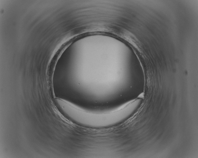 X0000070401116200606231755