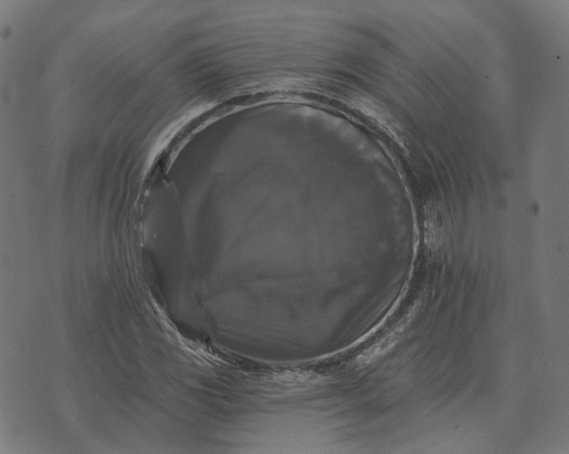 X0000070401117200606231755