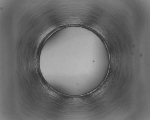 X0000070401119200606231755