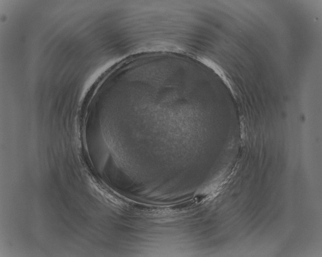 X0000070401120200606231755