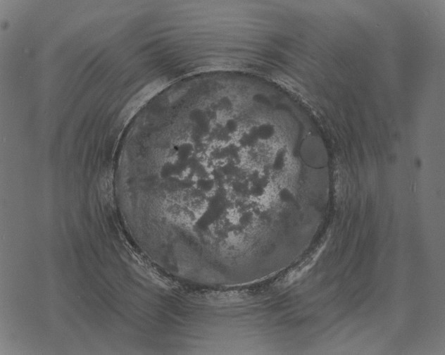 X0000070401121200606231755