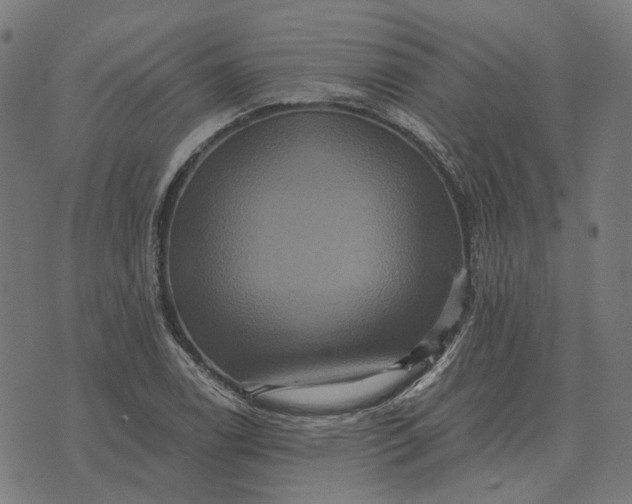 X0000070401122200606231756