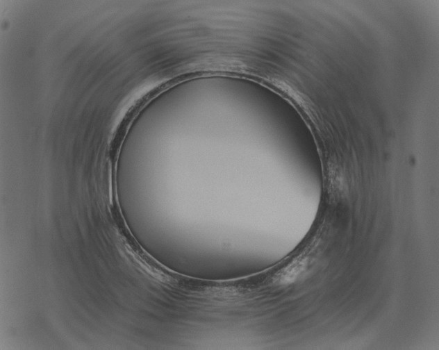 X0000070401123200606231756