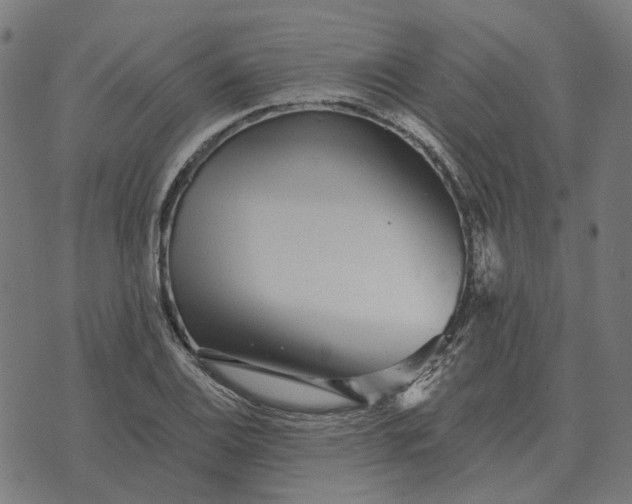 X0000070401124200606231756