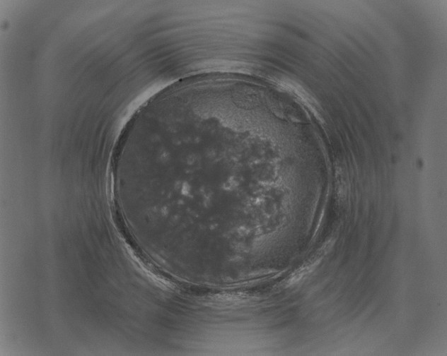 X0000070401125200606231756