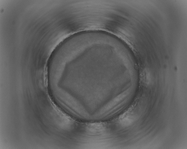 X0000070401126200606231756