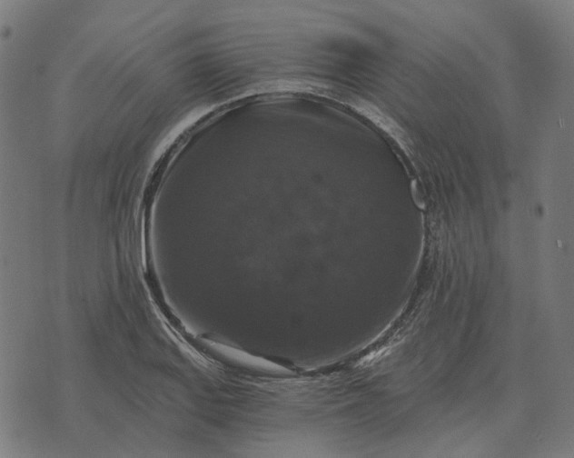 X0000070401127200606231756