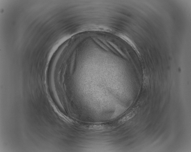 X0000070401128200606231756