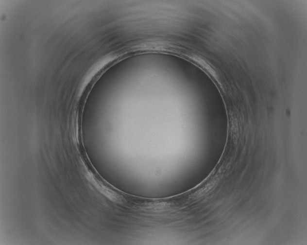 X0000070401131200606231756