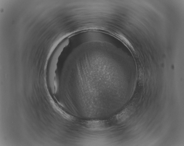 X0000070401132200606231756