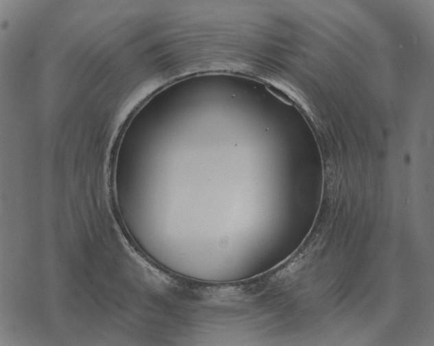 X0000070401135200606231756