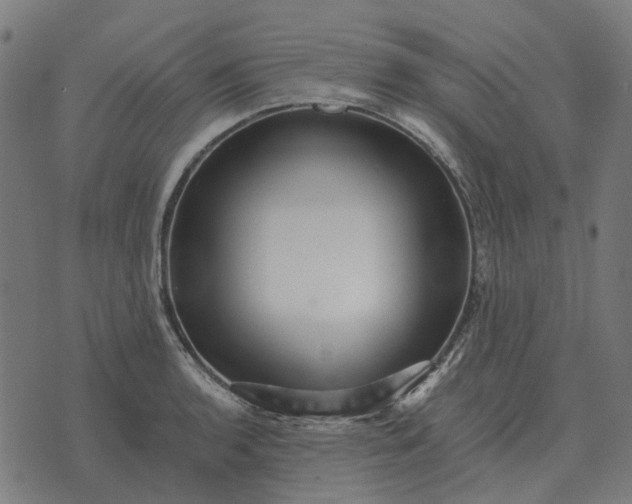 X0000070401136200606231756