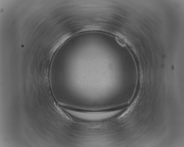 X0000070401137200606231756