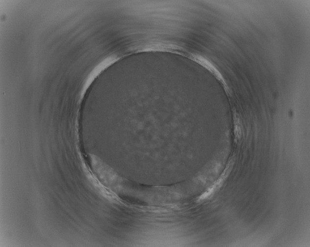 X0000070401138200606231756