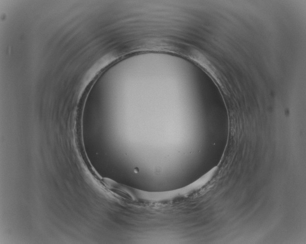 X0000070401139200606231756