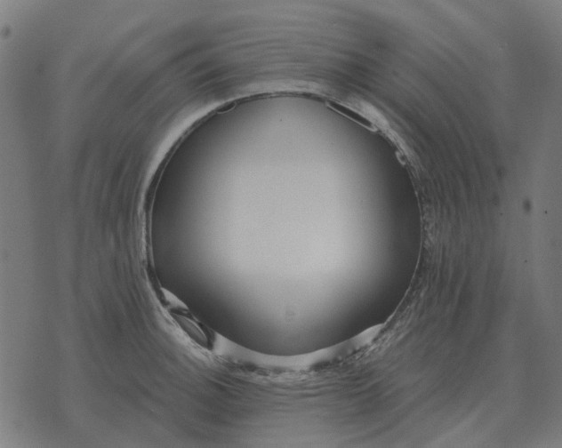 X0000070401140200606231756