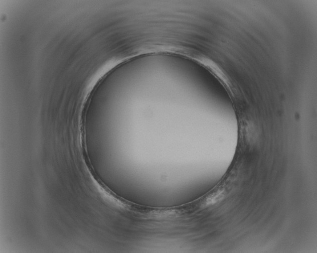 X0000070401143200606231756