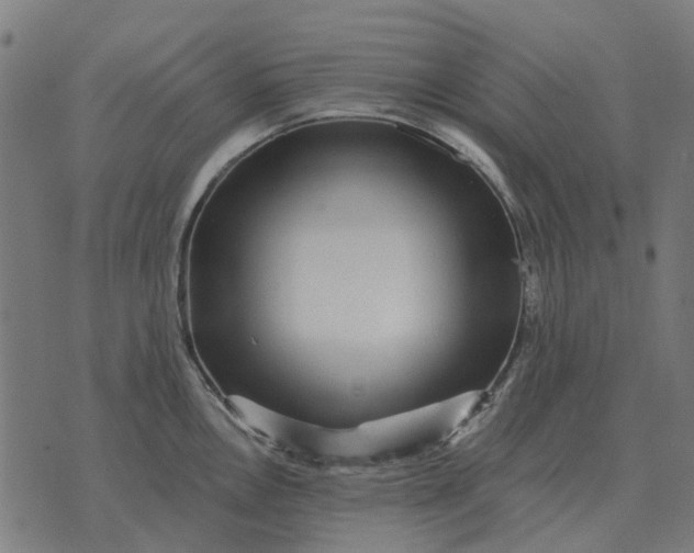 X0000070401146200606231756