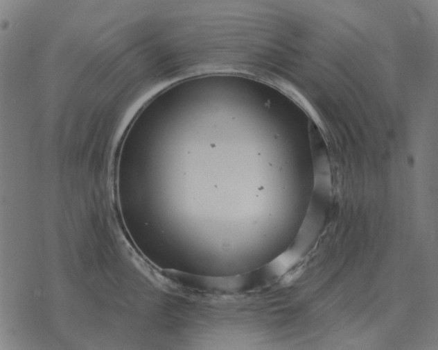 X0000070401148200606231756