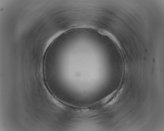 X0000070401149200606231756